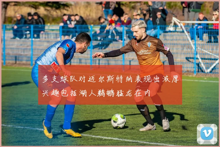 多支球队对迈尔斯特纳表现出浓厚兴趣包括湖人鹈鹕猛龙在内