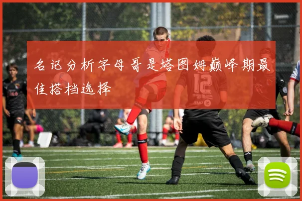 名记分析字母哥是塔图姆巅峰期最佳搭档选择
